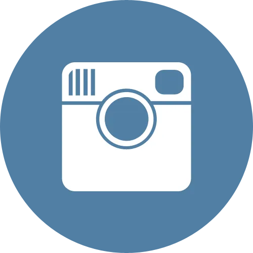 Icône Instagram